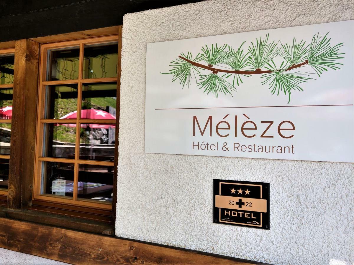 Meleze